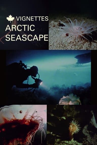 Canada Vignettes: Arctic Seascape poster