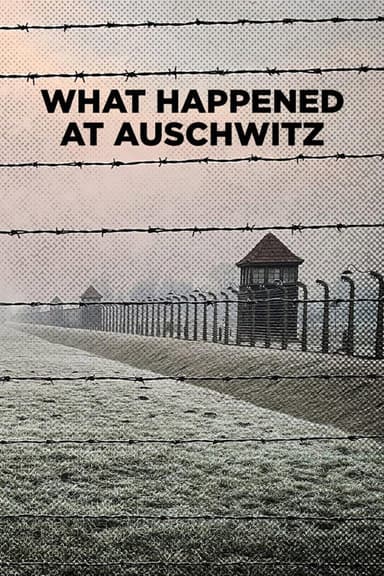 What Happened at Auschwitz poster