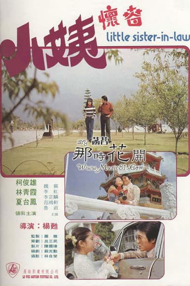 Little Sister-in-law poster