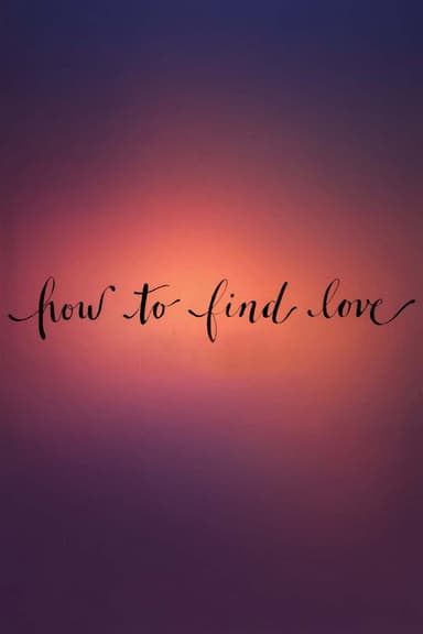How to Find Love poster