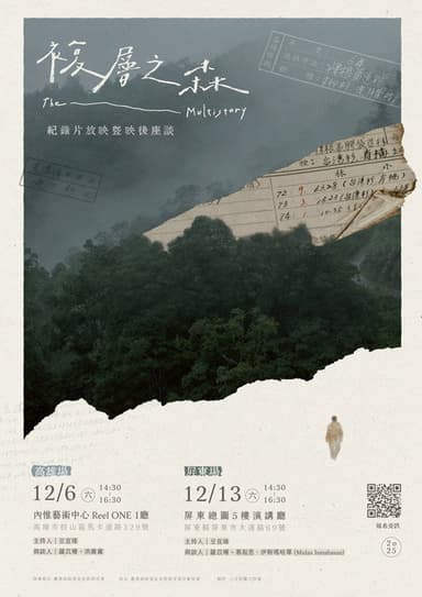 The Multistory poster