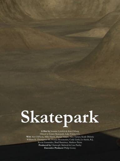Skatepark poster