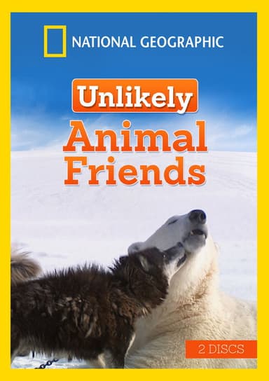 Unlikely Animal Friends poster