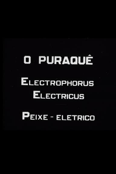 O Puraquê poster