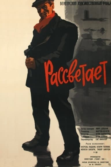 Virrad poster