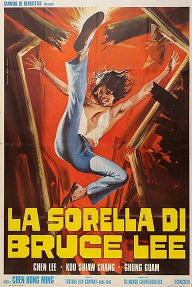 Chiu Chow Kung Fu poster