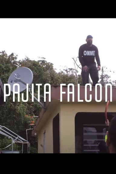 Pajita Falcón poster