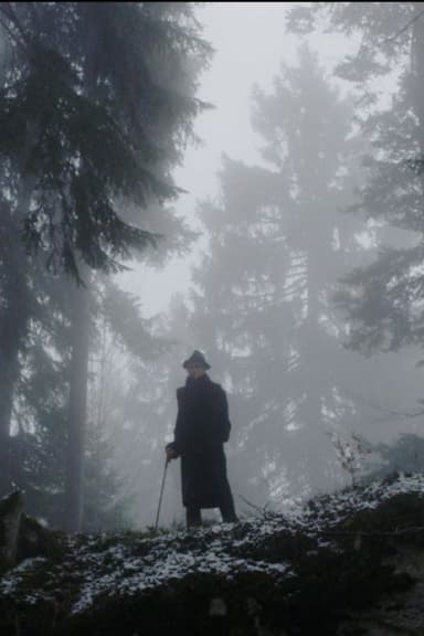 The Raven poster