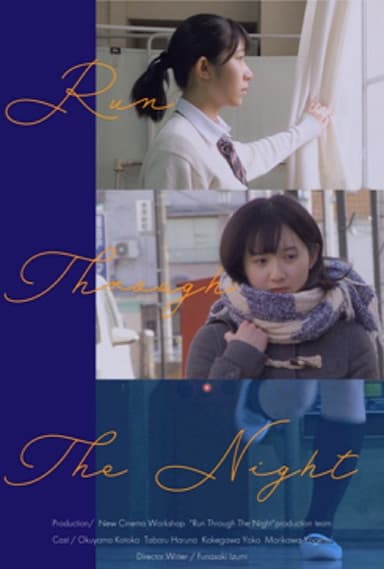 Run Through The Night poster