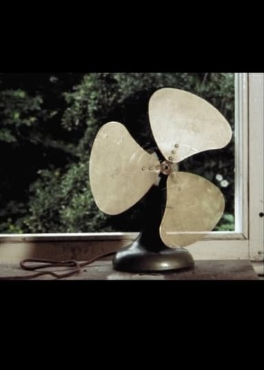 Fan poster