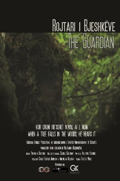 The Guardian poster