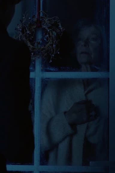 Winter Days poster