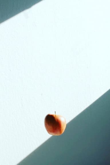 The Mouth is Still a Wild Door poster