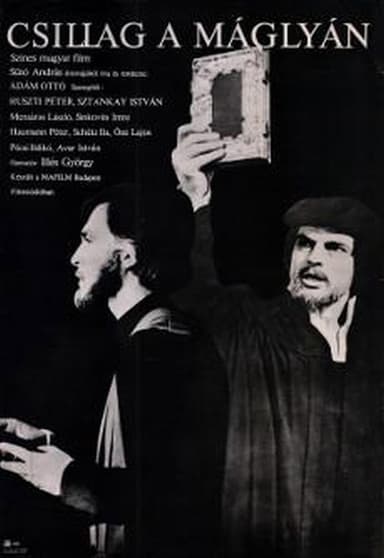 A Bright Star at the Stake poster