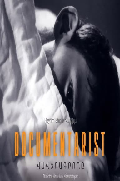 Documentarist poster