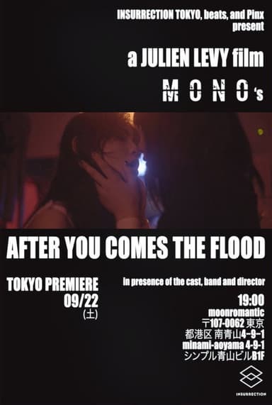 After You Comes the Flood poster