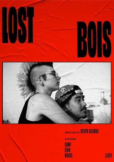 Lost Bois poster