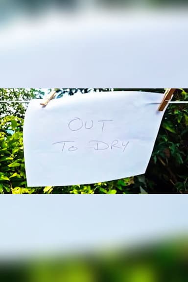 Out to Dry poster