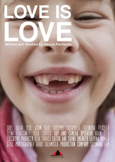 Love is Love poster