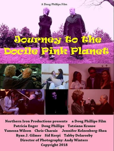 Journey to the Docile Pink Planet poster