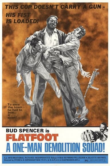 The Knock Out Cop poster