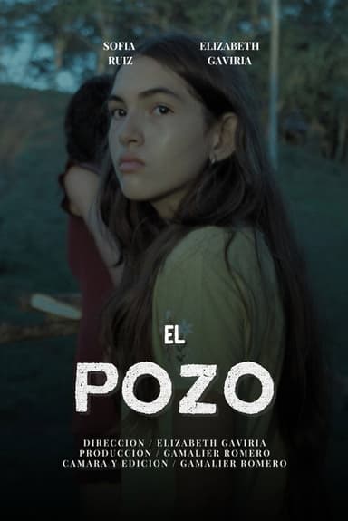 El pozo poster