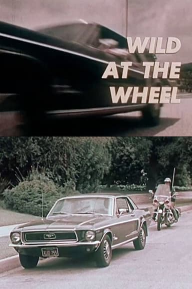 Wild at the Wheel poster