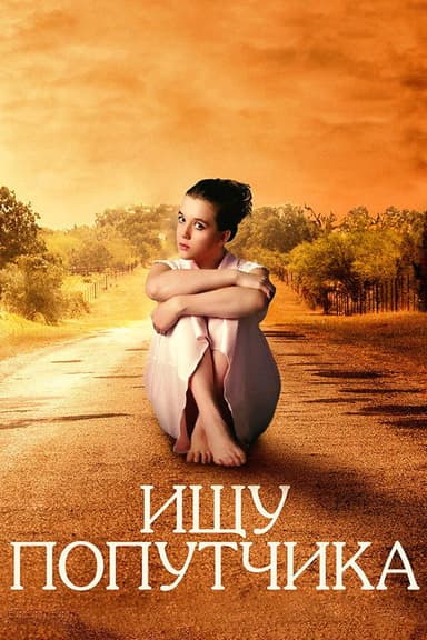 Looking for a Travel Companion poster