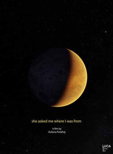 She Asked Me Where I Was From poster