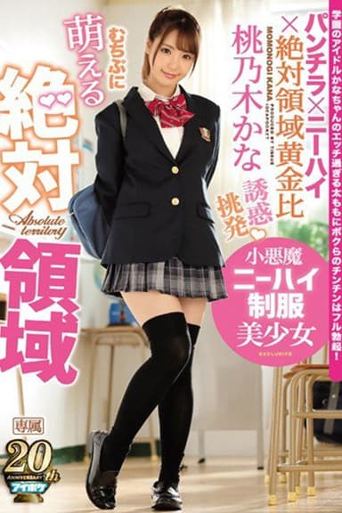 萌える絶対領域 誘惑 挑発 小悪魔ニーハイ制服美少女 poster