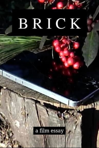 Brick - A film essay poster