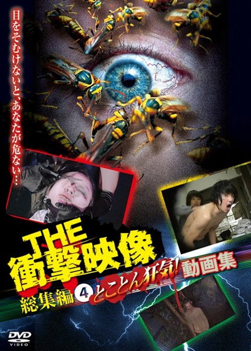 THE Shōgeki Eizō Sōshūhen (4) Tokoton Kyōki! Dōga-shū poster