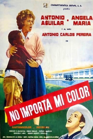 Rumbo a Brasilia poster