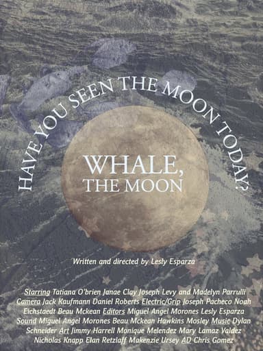 Whale the Moon poster