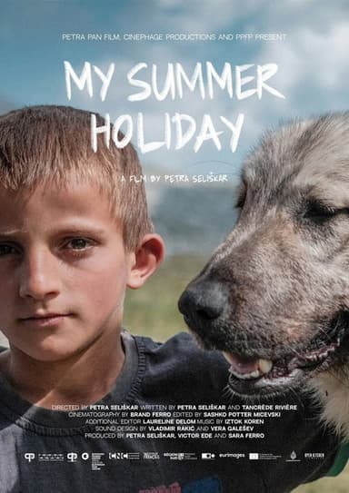 My Summer Holiday poster