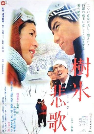 Snow Country Elegy poster