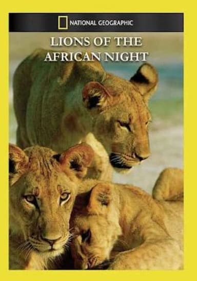 Night of the Lion poster