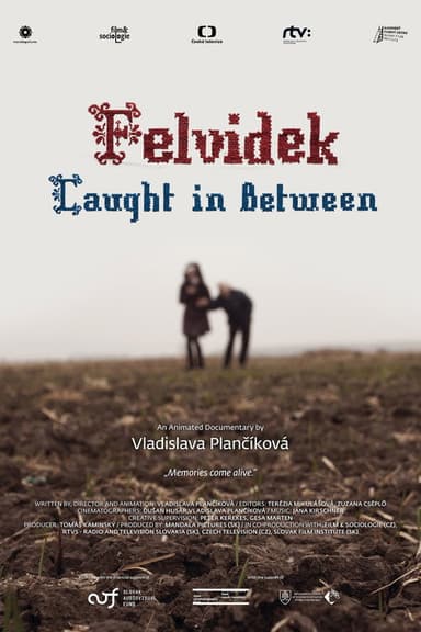 Felvidek – Caught in Between poster