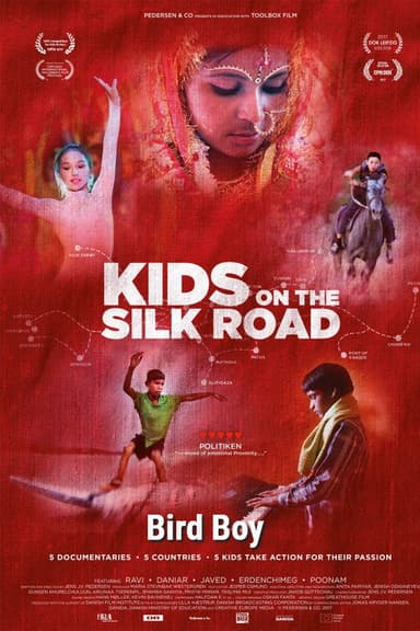 Bird Boy poster