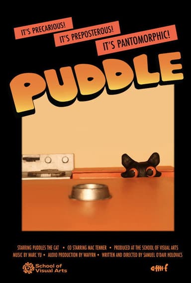 Puddle poster