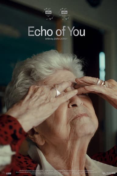 Echo of You poster