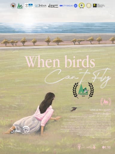 When Birds Can't Fly poster