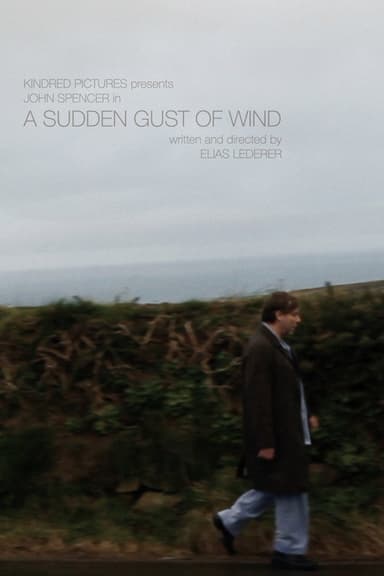 A Sudden Gust of Wind poster