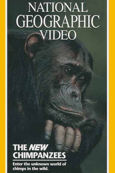 The New Chimpanzees poster