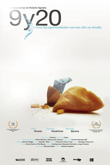 9 y 20 poster