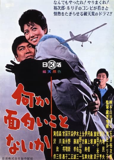 I Fly for Kicks poster