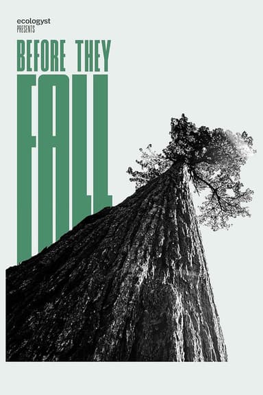 Before They Fall poster