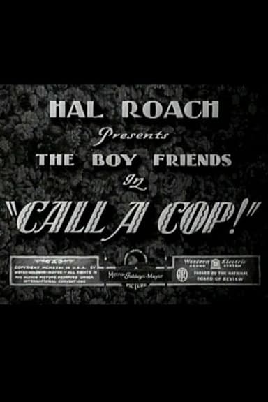 Call a Cop! poster