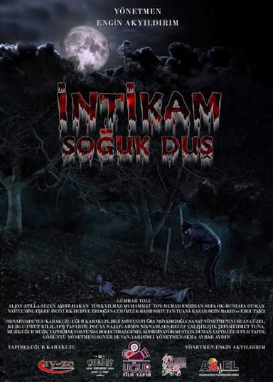 İntikam Soğuk Duş poster