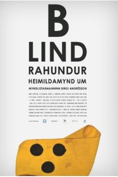 Seeing Eye Dog poster